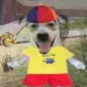 Meet your Posher, Ricardo